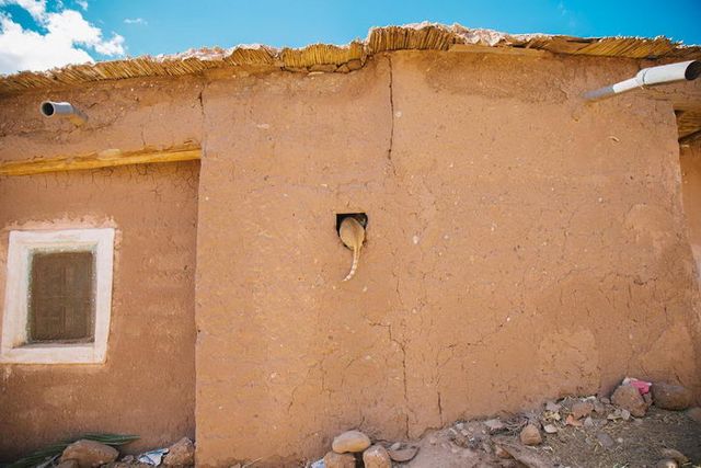 Помаранчевий пісок: пустеля Марокко в яскравих знімках - фото 363940