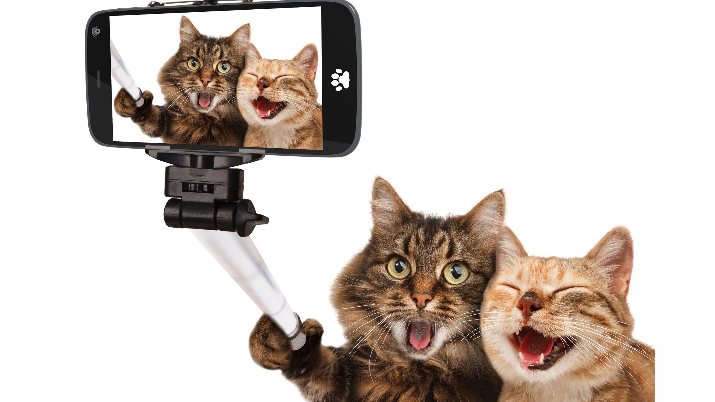 Розкрито секрет вдалих фото в Instagram