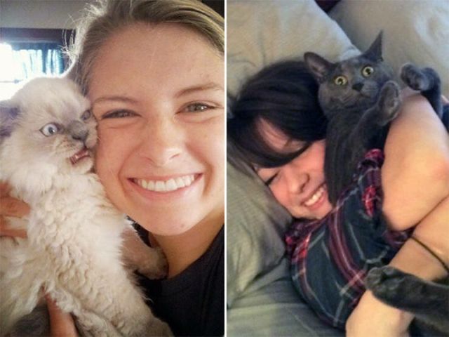 Ці коти ненавидять селфі: кумедні фото - фото 364091