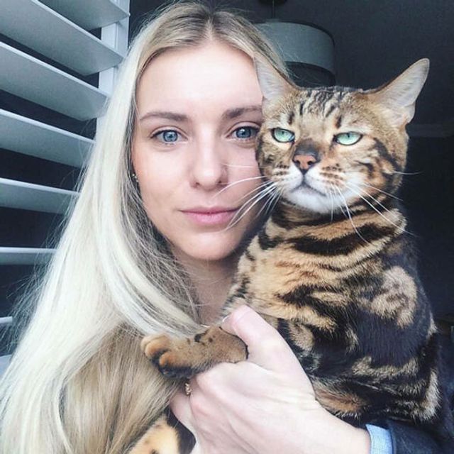 Ці коти ненавидять селфі: кумедні фото - фото 364092