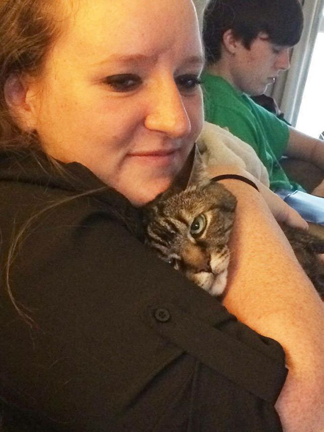 Ці коти ненавидять селфі: кумедні фото - фото 364093