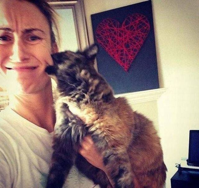 Ці коти ненавидять селфі: кумедні фото - фото 364096