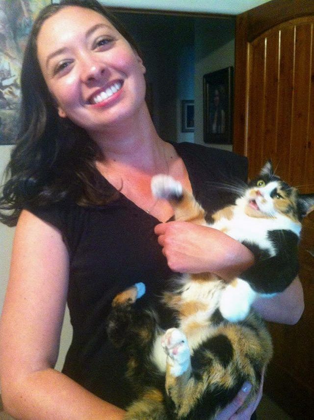 Ці коти ненавидять селфі: кумедні фото - фото 364100