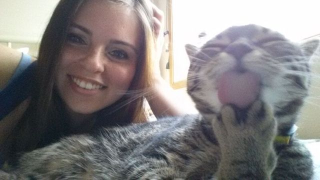 Ці коти ненавидять селфі: кумедні фото - фото 364101