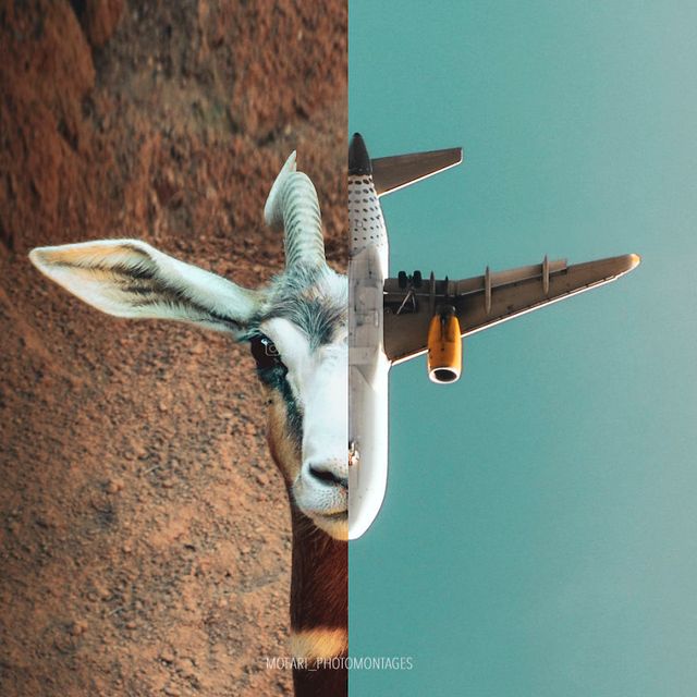 Фото цієї художниці зі Швейцарії змушують затримати погляд - фото 364172