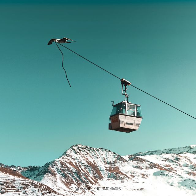 Фото цієї художниці зі Швейцарії змушують затримати погляд - фото 364176