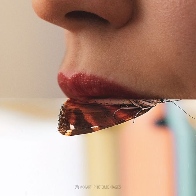 Фото цієї художниці зі Швейцарії змушують затримати погляд - фото 364181