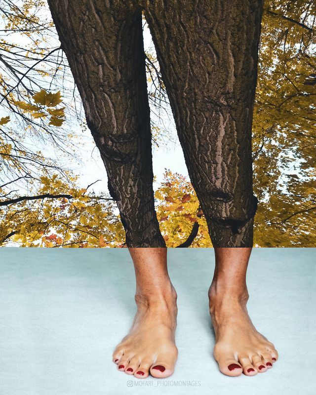 Фото цієї художниці зі Швейцарії змушують затримати погляд - фото 364183