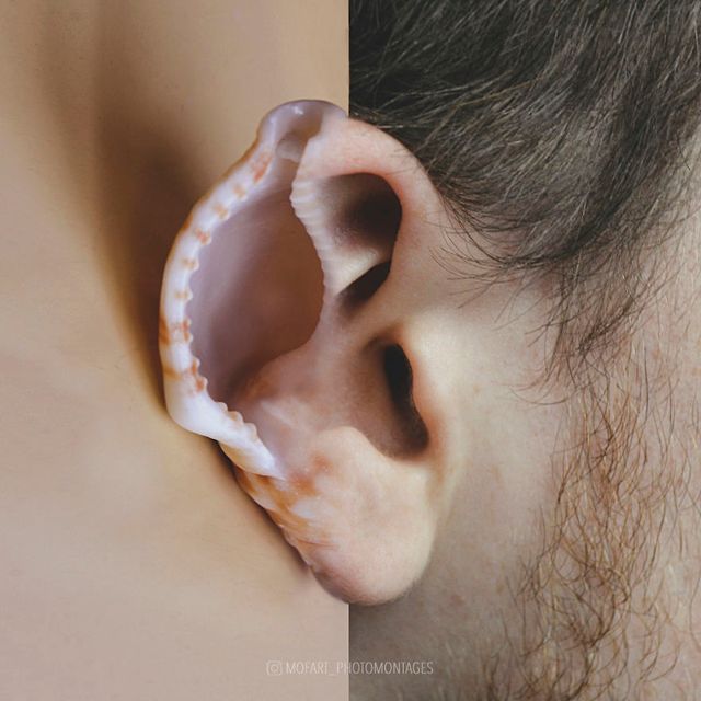 Фото цієї художниці зі Швейцарії змушують затримати погляд - фото 364186