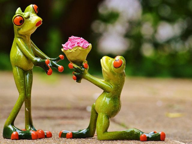 Мова кохання- фото 364330