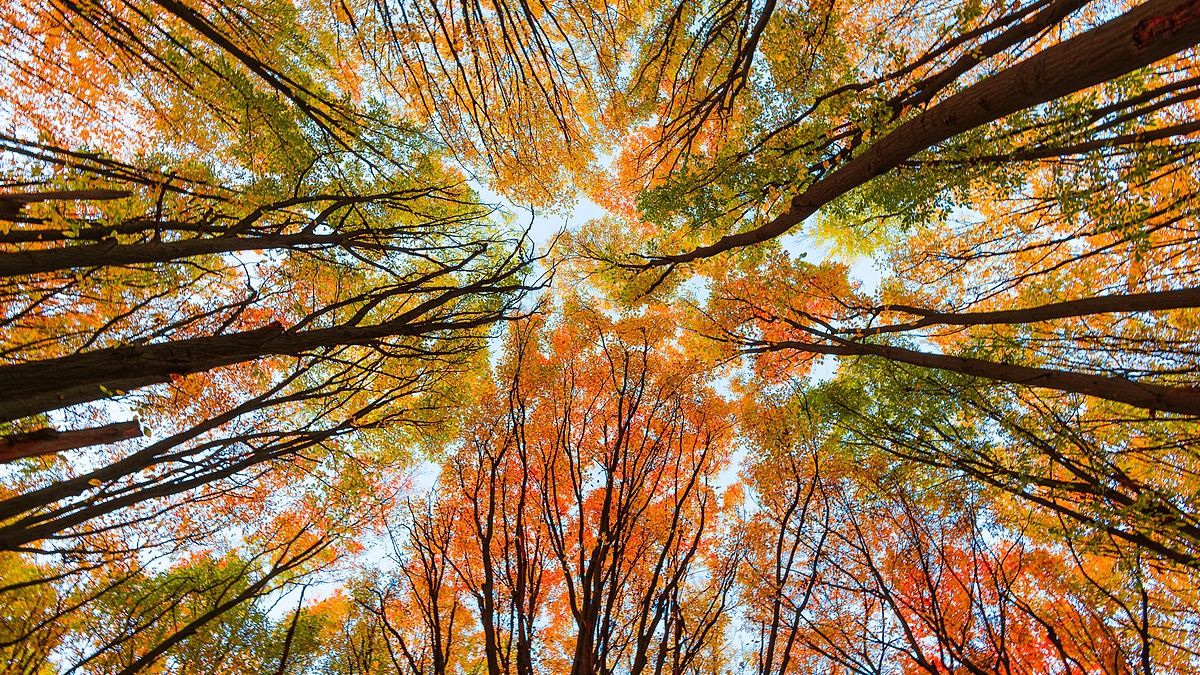 Жовтневий Київ в яскравих знімках з Instagram