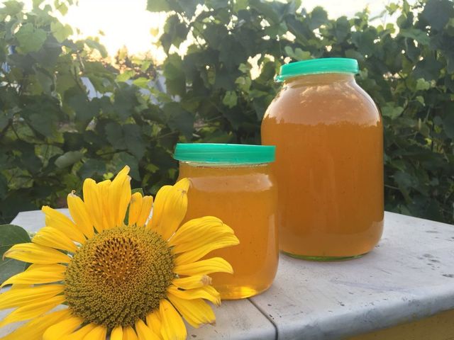 Користь меду- фото 364527