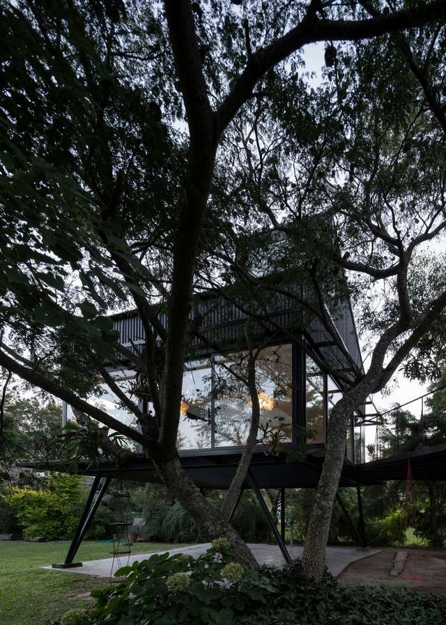 Архітектори звели сучасний будинок мрії на дереві для дорослих: фото - фото 364719