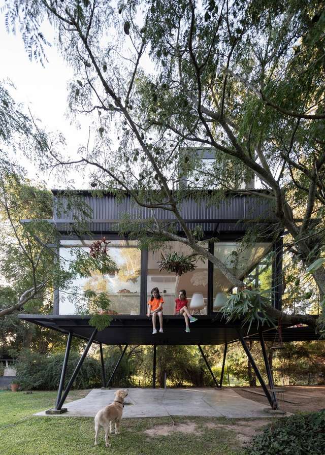 Архітектори звели сучасний будинок мрії на дереві для дорослих: фото - фото 364721