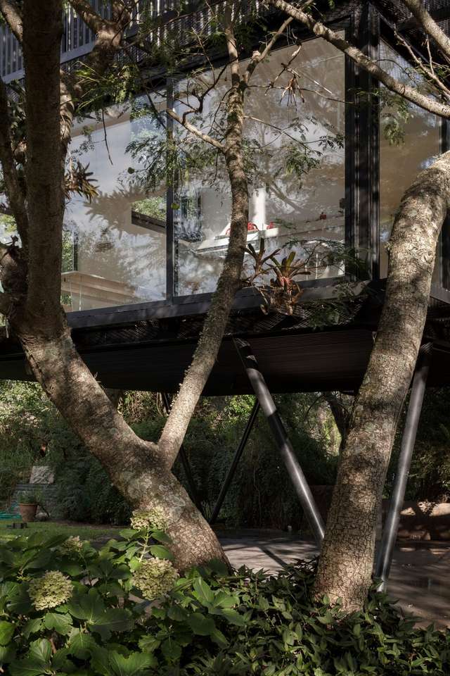 Архітектори звели сучасний будинок мрії на дереві для дорослих: фото - фото 364722