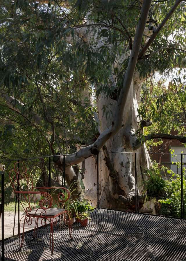 Архітектори звели сучасний будинок мрії на дереві для дорослих: фото - фото 364726