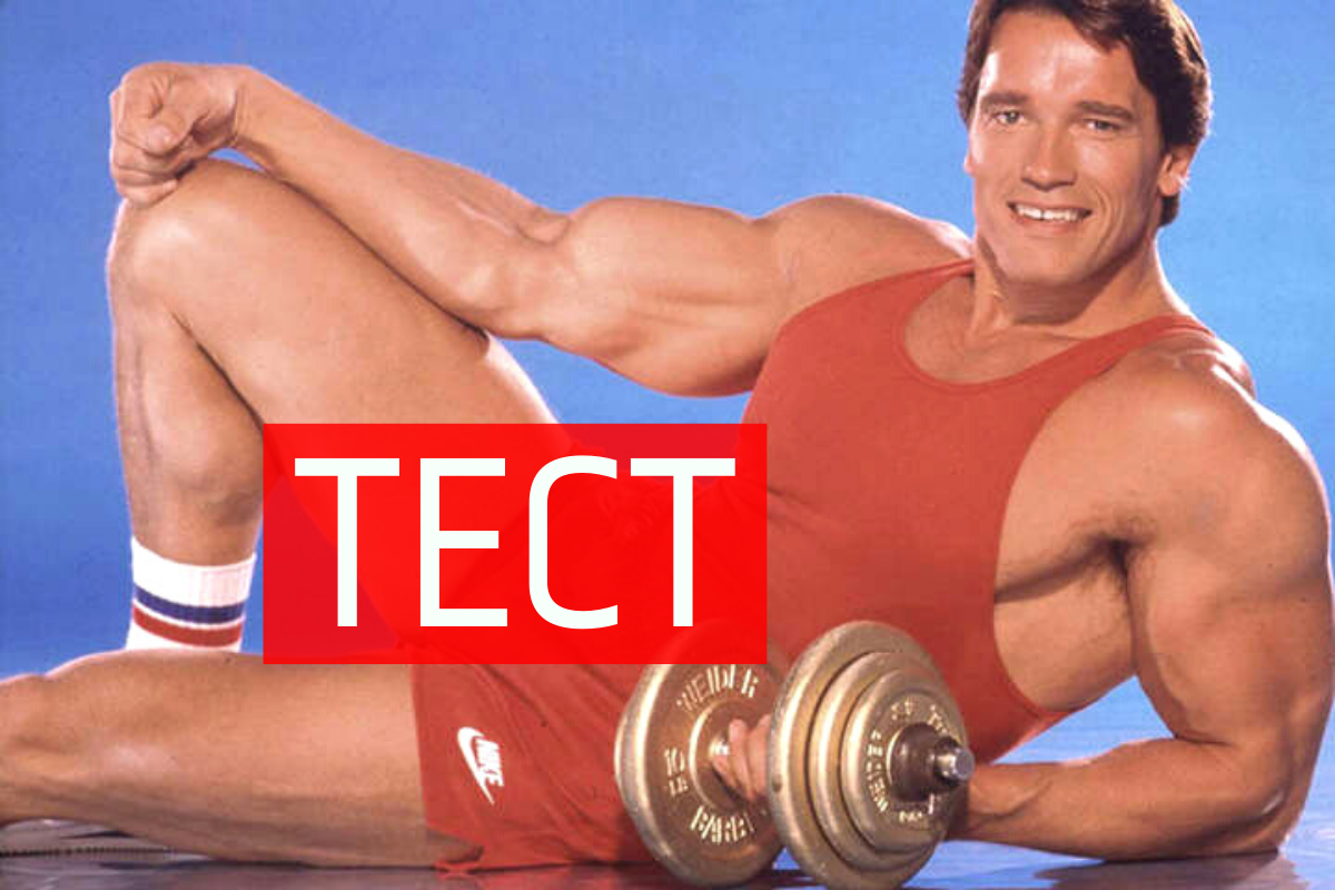 вгадай фільм з Арнольдом Шварценеггером - фото 1