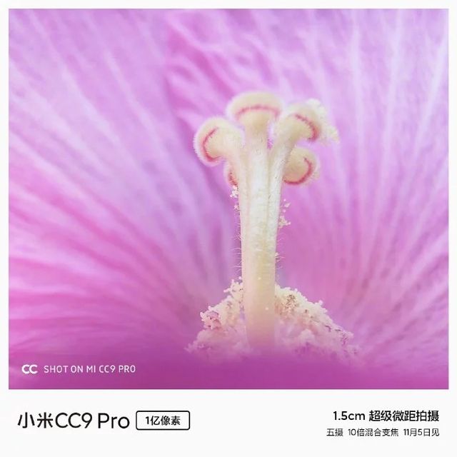 Глава Xiaomi показав дивовижні макрознімки, які зробив на Mi CC9 Pro - фото 365036