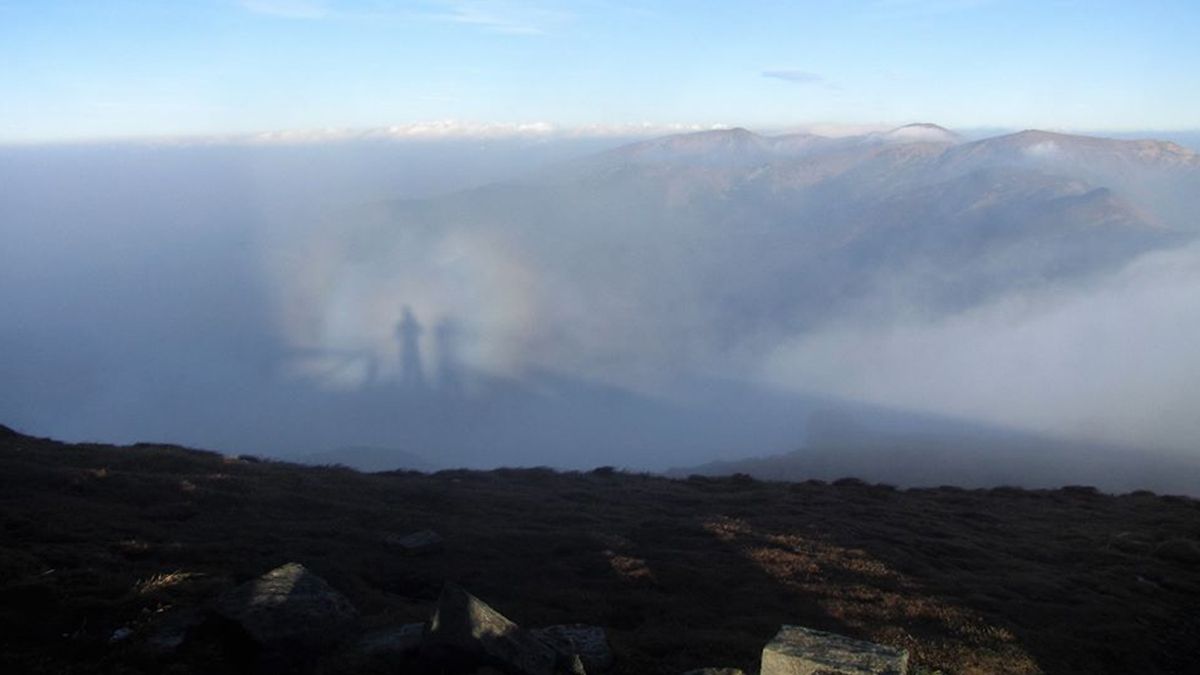 У мережі показали вражаючий кадр "гірського привида" з Карпат