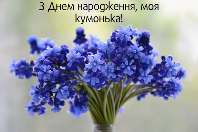 Привітання з днем народження кумі: прикольні картинки, смс, проза і вірші - фото 365389