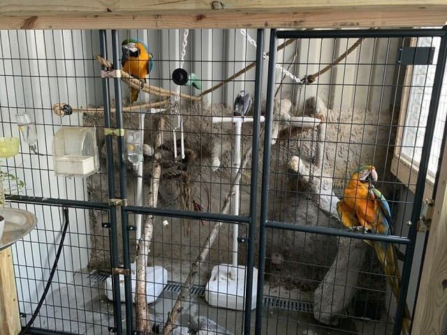 Дизайнер звів дім своєї мрії з вантажних контейнерів (фото) - фото 365424