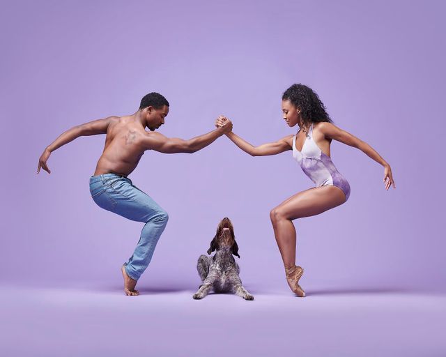Балет з собаками: ці фото однозначно змусять вас усміхнутися - фото 365994