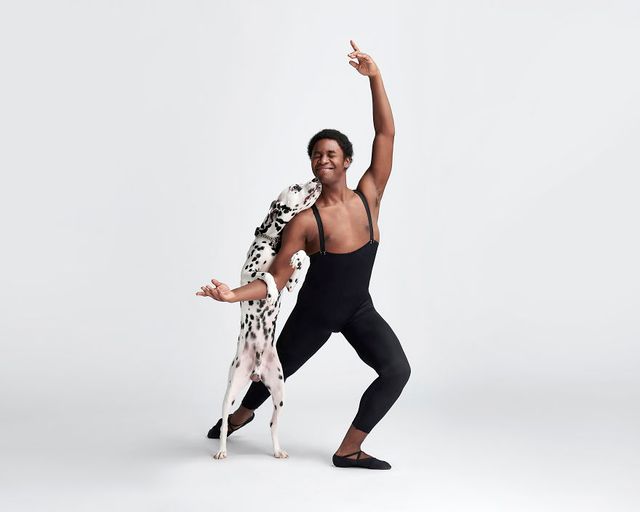 Балет з собаками: ці фото однозначно змусять вас усміхнутися - фото 366006