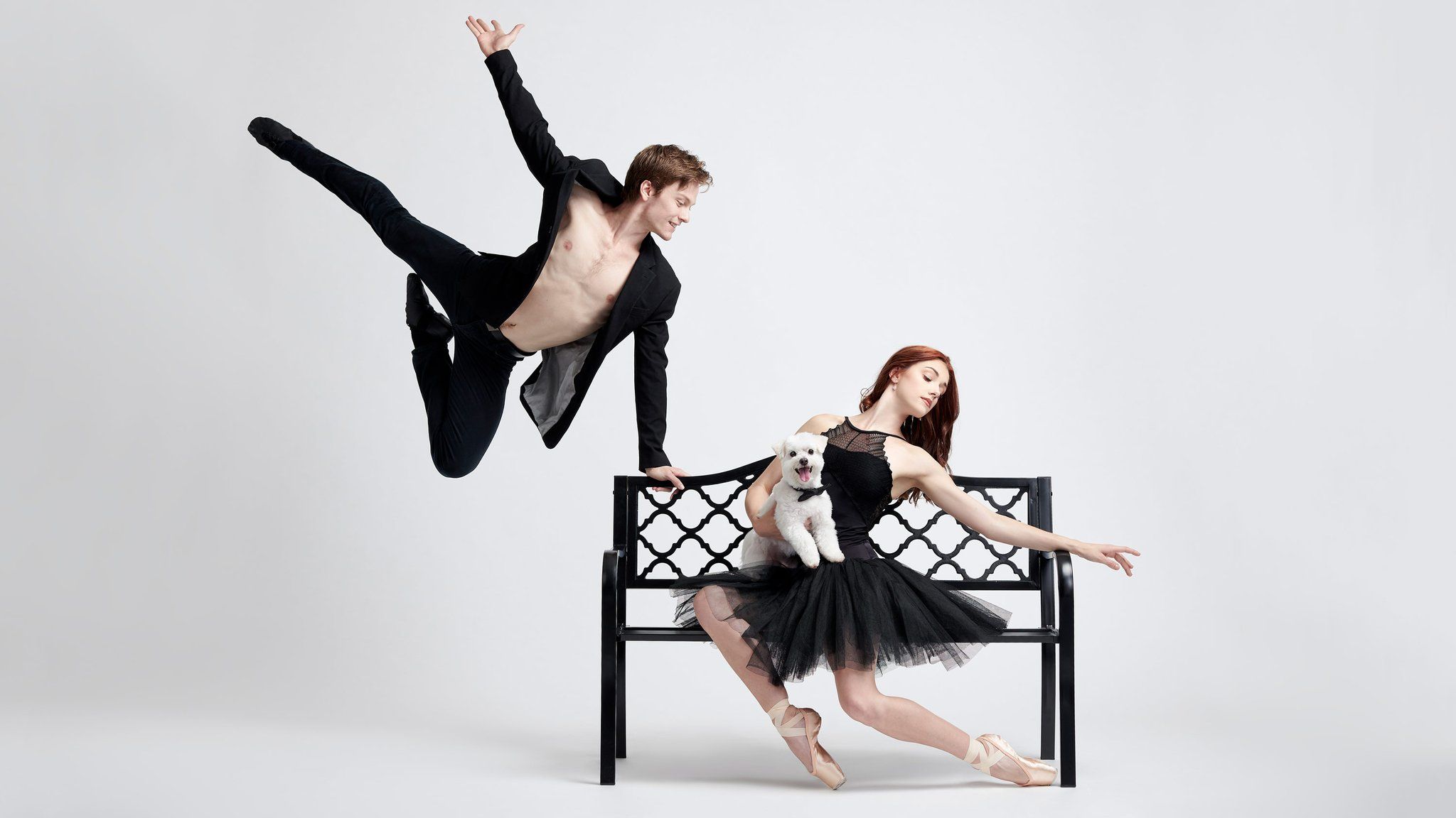 Балет з собаками: ці фото однозначно змусять вас усміхнутися