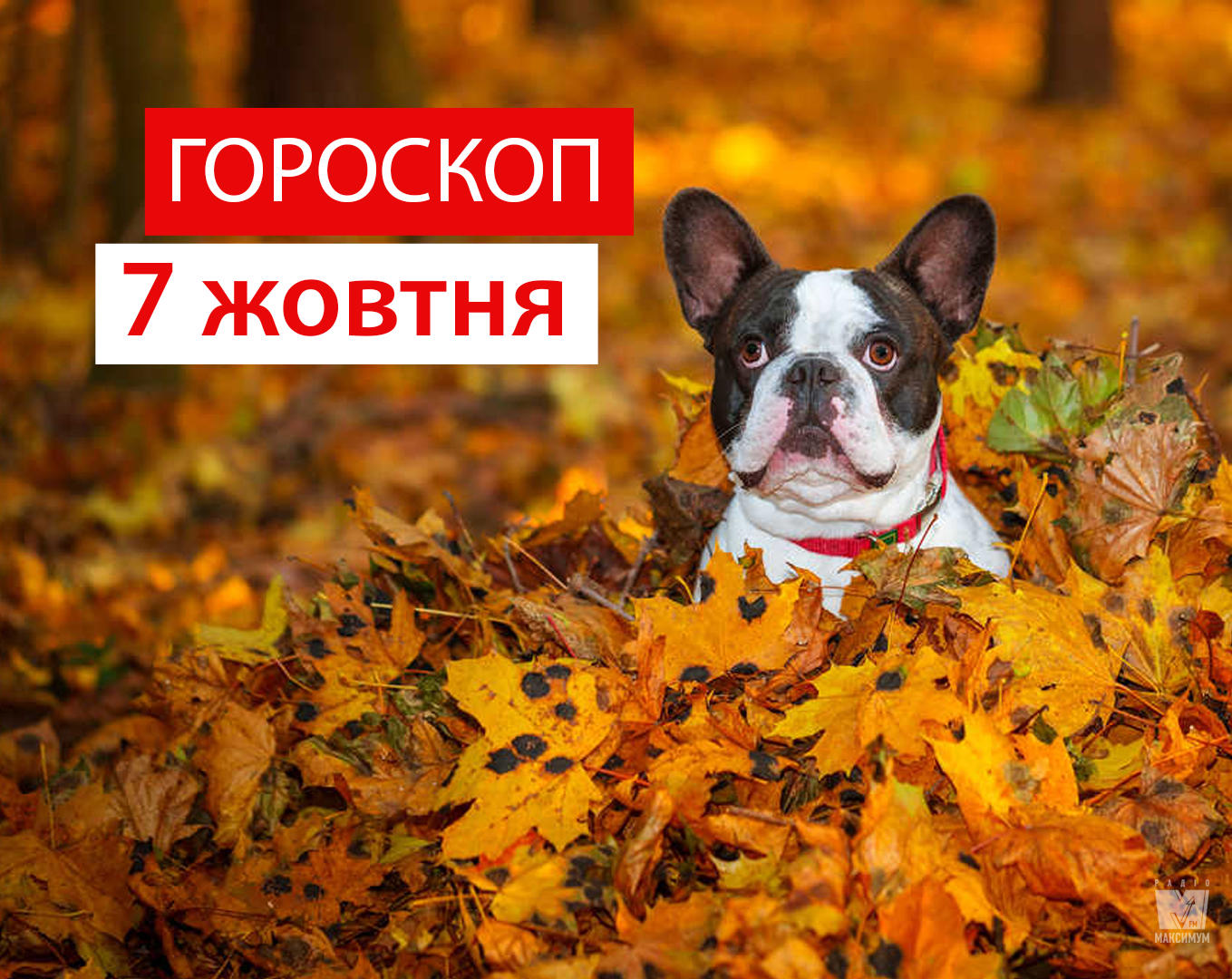 Гороскоп на 7 листопада 2019: прогноз для всіх знаків Зодіаку