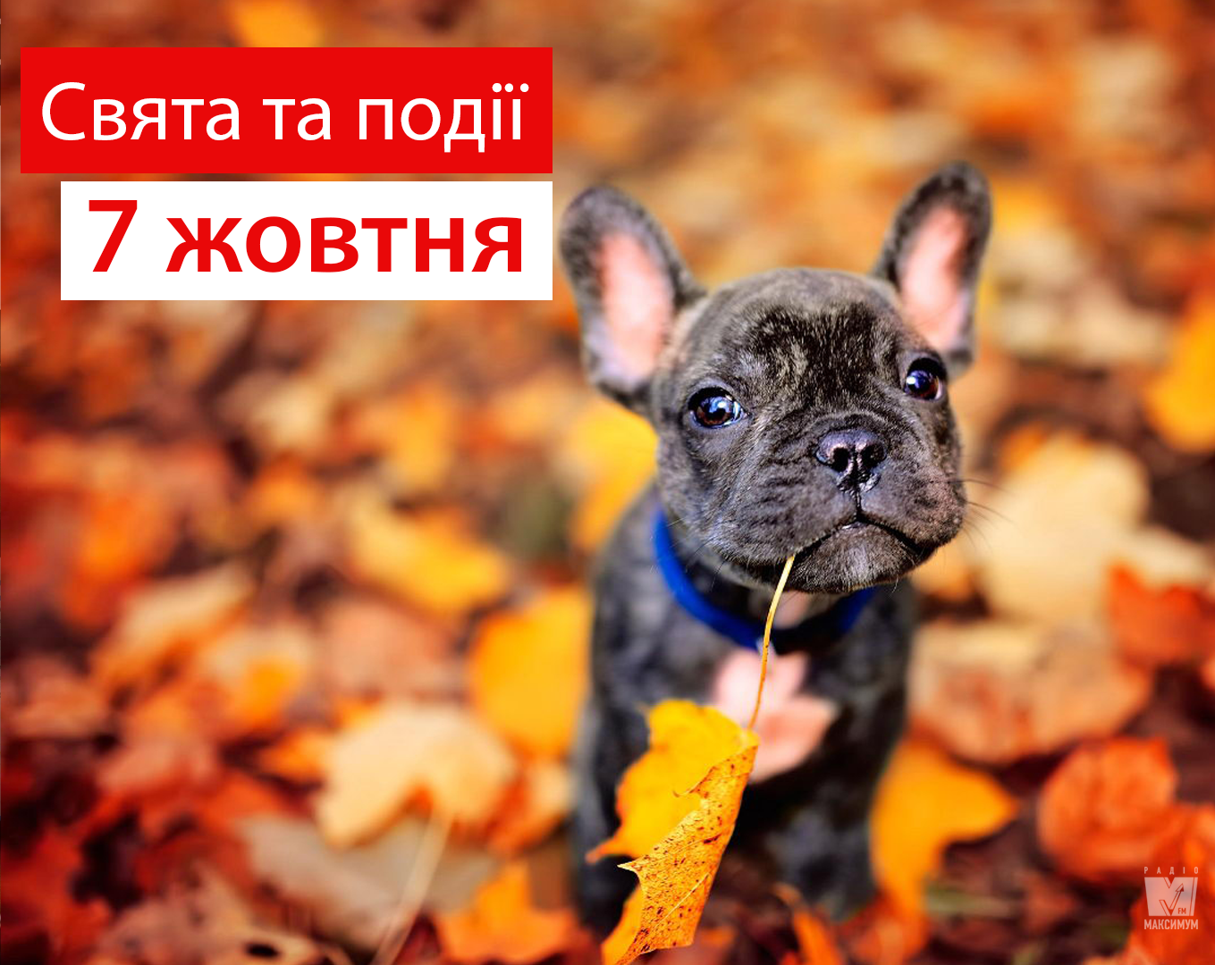 7 листопада 2019 – яке сьогодні свято: традиції, заборони і прикмети