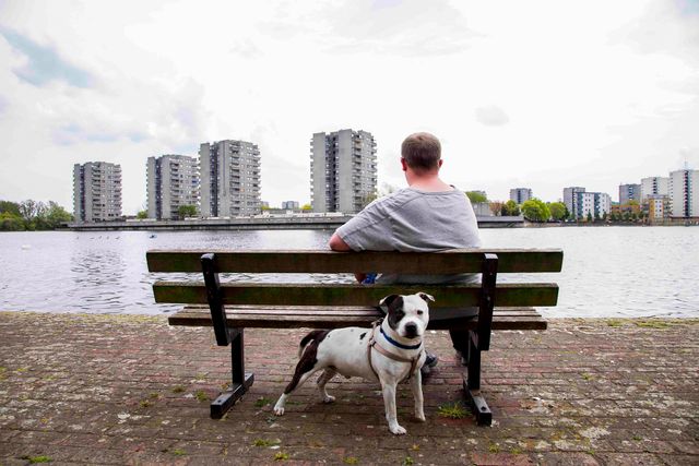 Реальне життя на околицях Лондона: захопливі фото - фото 366194