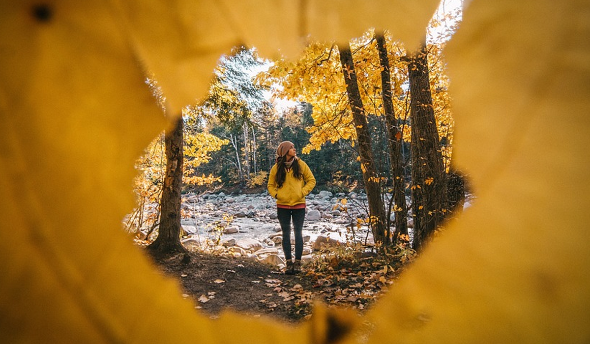 Куди піти в листопаді: ТОП 5 подій у Києві, варті вашої уваги