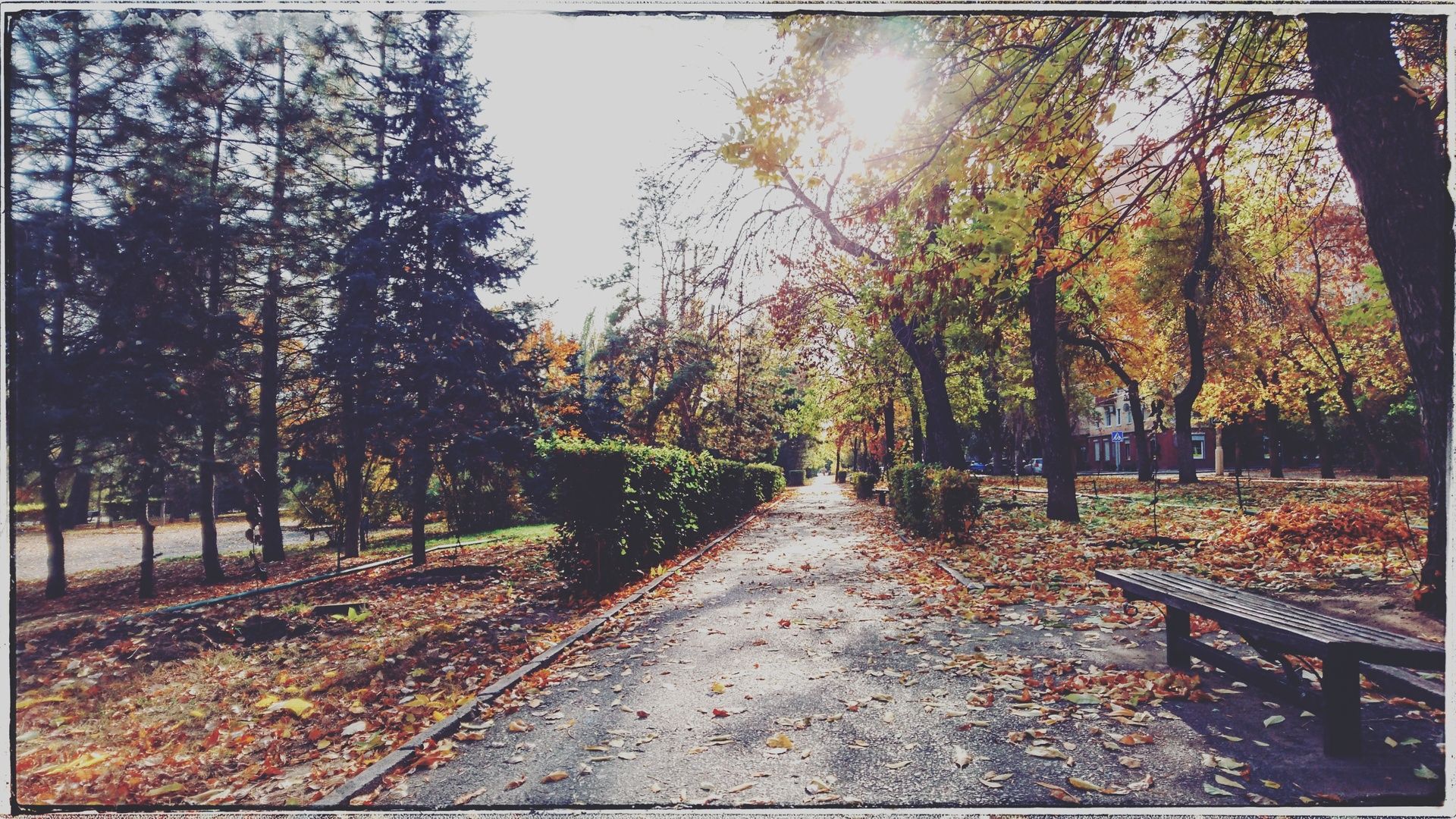 Рятувальники оголосили попередження для українців