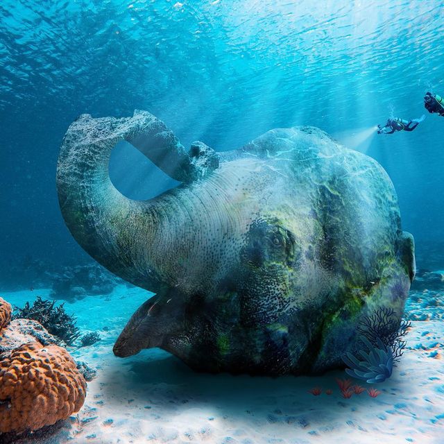 Нідерландець змусить вас затримати погляд на його фото - фото 366537