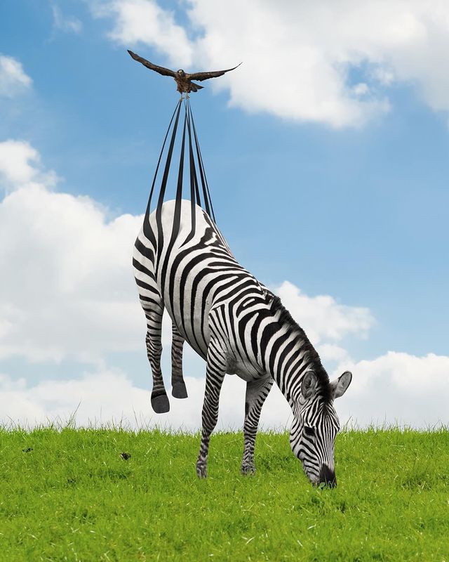 Нідерландець змусить вас затримати погляд на його фото - фото 366538