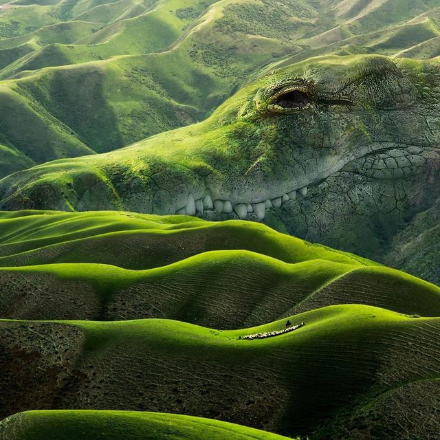 Нідерландець змусить вас затримати погляд на його фото - фото 366540