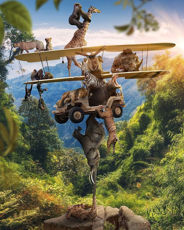 Нідерландець змусить вас затримати погляд на його фото - фото 366541