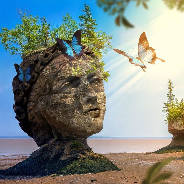 Нідерландець змусить вас затримати погляд на його фото - фото 366542