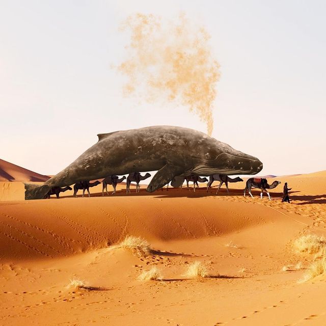 Нідерландець змусить вас затримати погляд на його фото - фото 366543