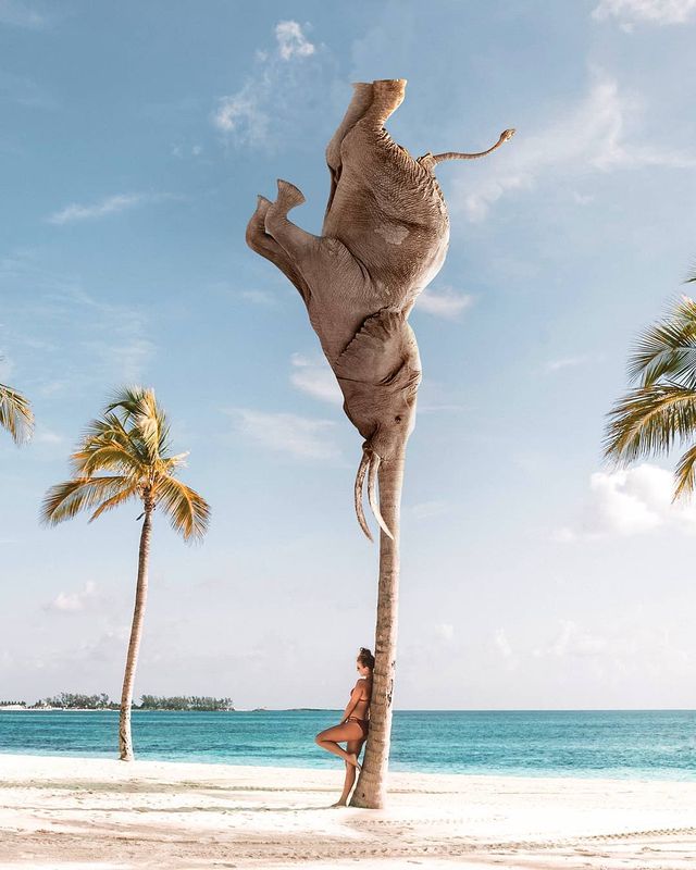 Нідерландець змусить вас затримати погляд на його фото - фото 366544