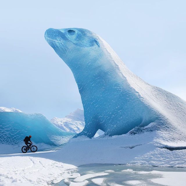 Нідерландець змусить вас затримати погляд на його фото - фото 366545