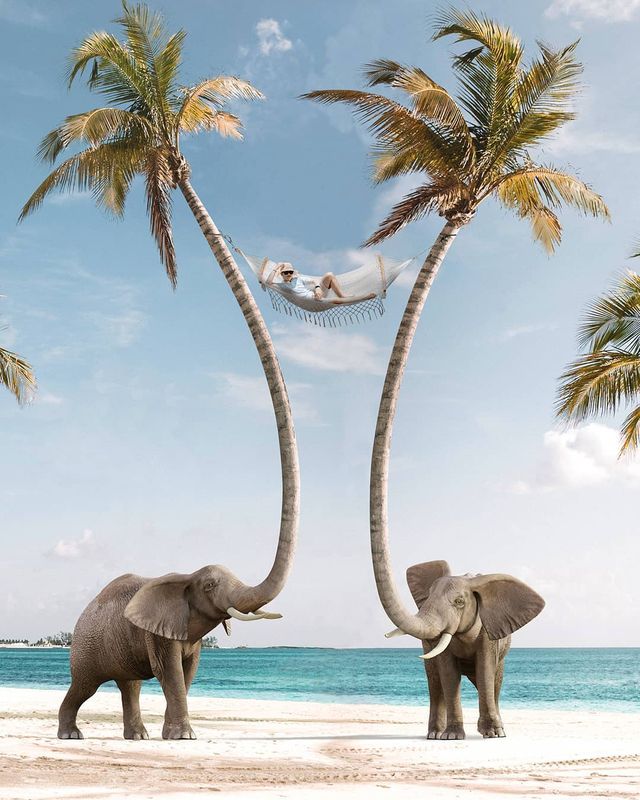 Нідерландець змусить вас затримати погляд на його фото - фото 366547