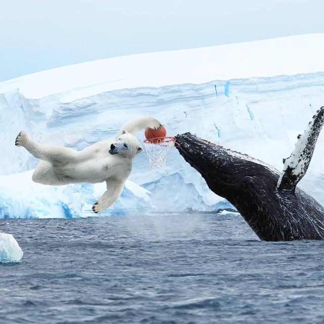 Нідерландець змусить вас затримати погляд на його фото - фото 366555