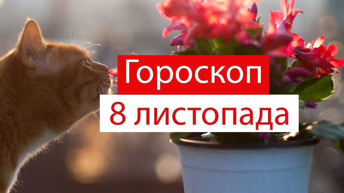 Гороскоп на 8 листопада 2019: хто вирушить у незабутню подорож