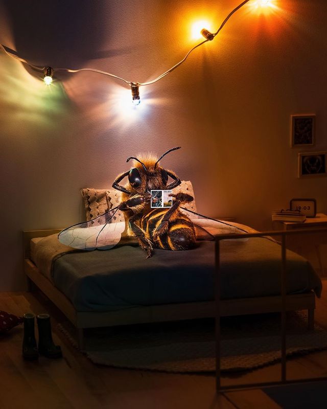 В Instagram з'явилася перша у світі блогерка-бджола: ефектні фото - фото 366643