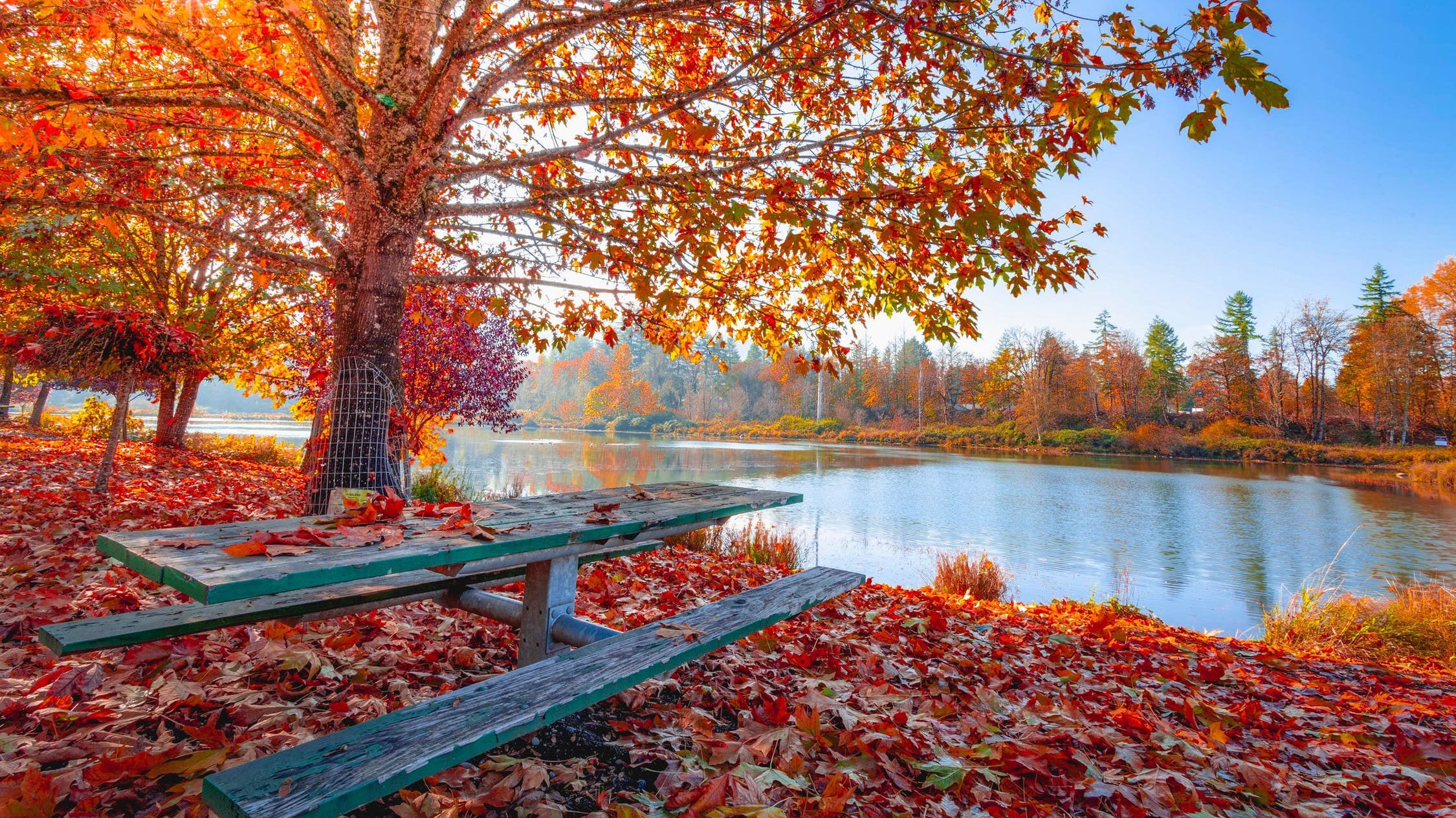 Осінь в Києві побила ще два температурних рекорди