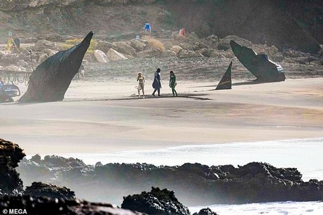 З'явилися перші фото Анджеліни Джолі з нового фільму Marvel - фото 366822