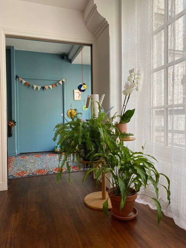 iPhone 11 Pro Max не став найкращим камерофоном за версією DxOMark - фото 366830