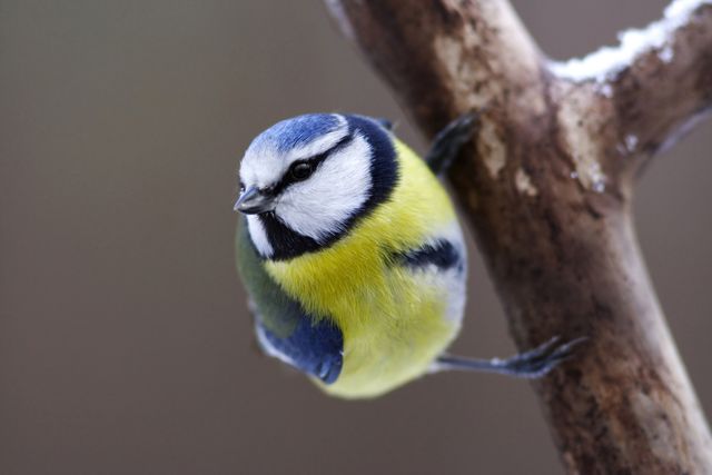 11 листопада 2019 – яке сьогодні свято: традиції, заборони і прикмети - фото 367285