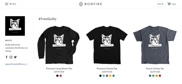 У США кіт опинився в одиночній камері, і ось чому (фото) - фото 367648